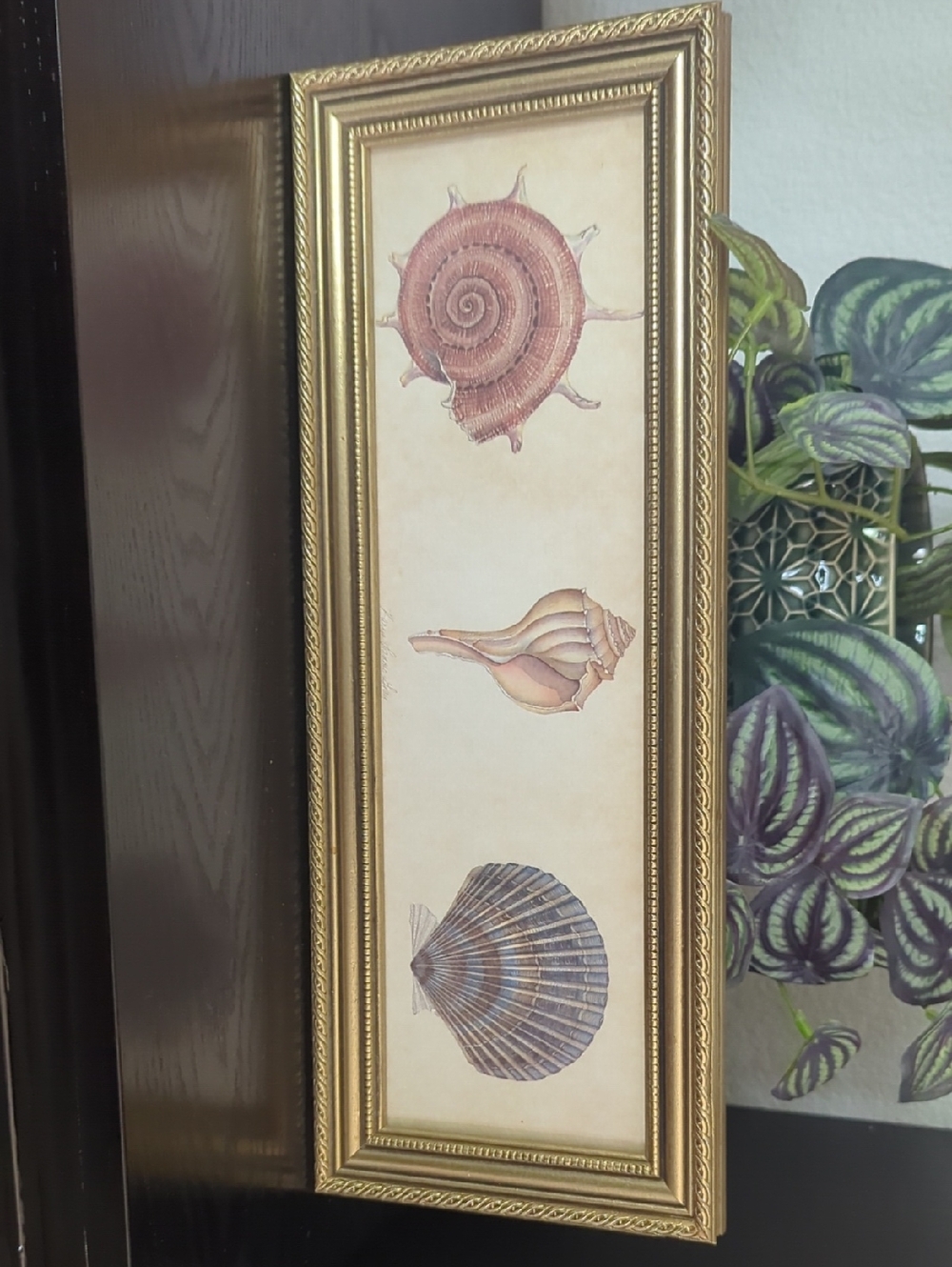 Pier 1 Karyn Frances Gray Seashell Print In Gold Frame
